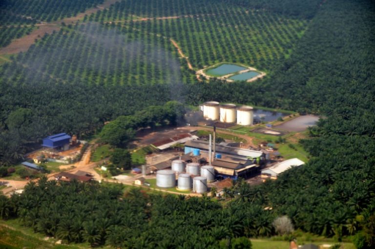 Twin Faces in Land Deal