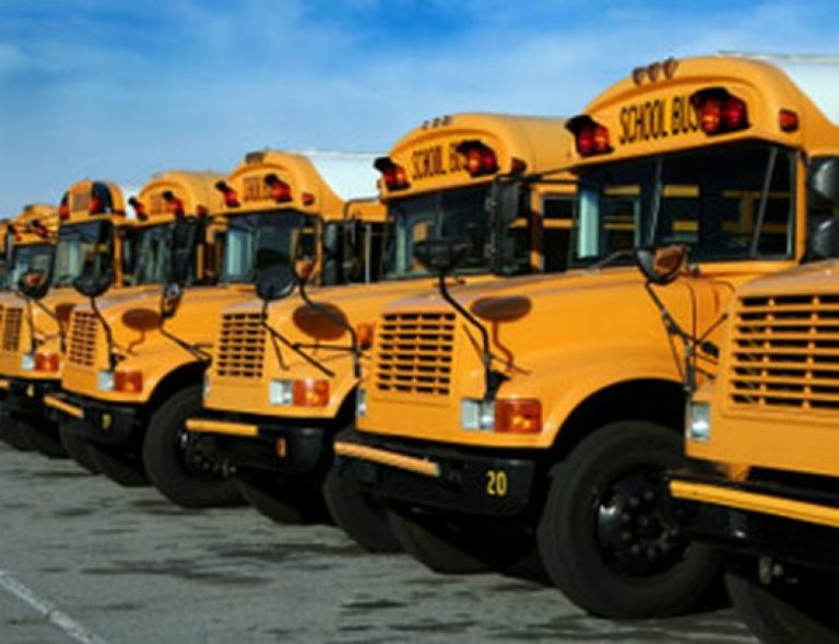 The Grease That Got School Buses Rolling in Samoa