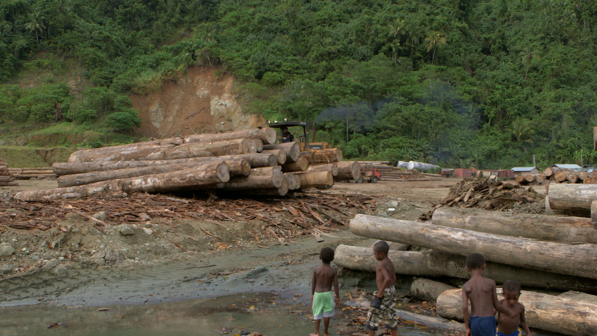 Ecuador: Stop land grabbing and racial discrimination for palm oil