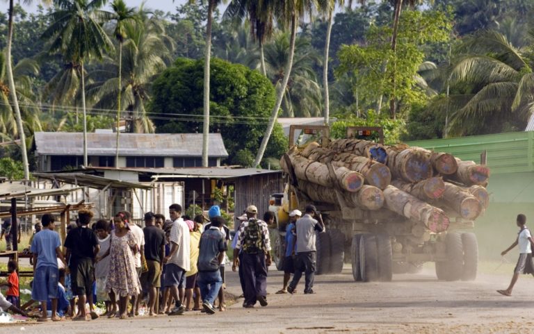 Tax Cheating Rife as Papua New Guinea Becomes Top Timber Exporter, Report Says