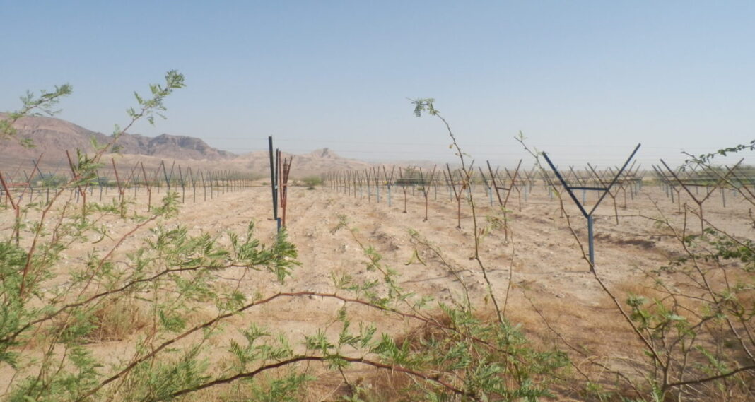USAID Jordan Project