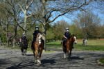 police in central park