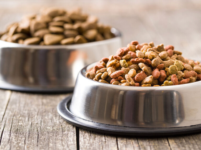 Did Industry Funding Influence an FDA Investigation into Canine Heart